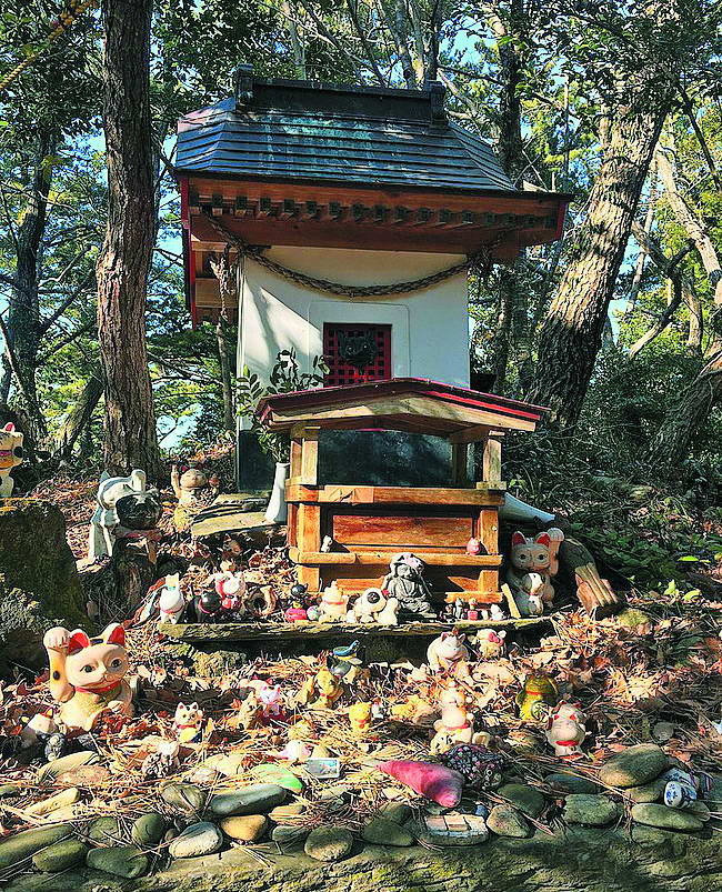 Котячий храм, а біля нього – пожертви. Фото з відкритих джерел