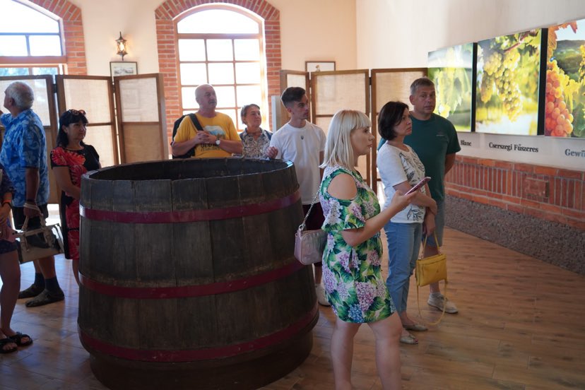 В цій залі музею Чиза розповідають про сорти винограду, який вирощують лише на Закарпатті.