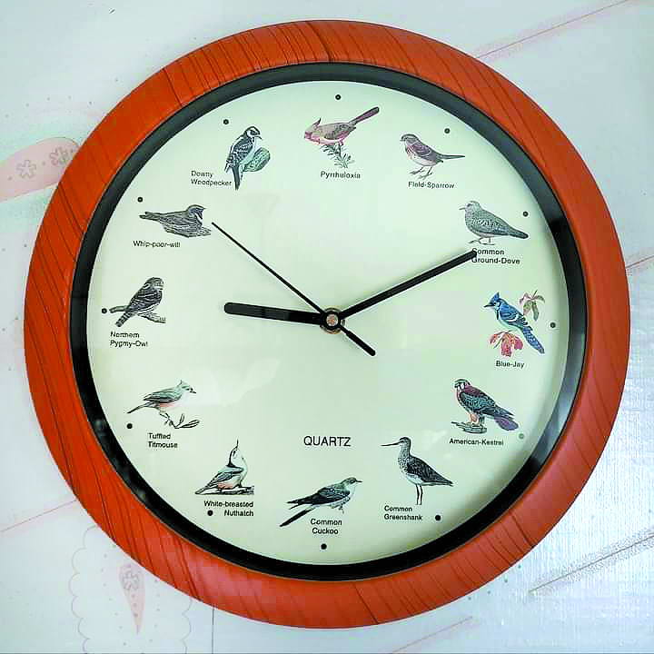 Цей хронометр сповіщає години мелодіями птахів.